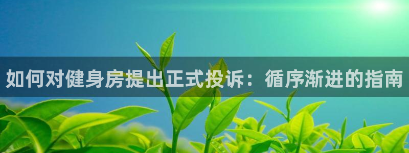 凯时AG登录入口官方版